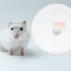 Small Pets Running Wheel Silent Running Exercise Wheel Hamster Exercise Wheel