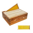 10-frame Medium Super Bee Box Wax Coated Bee Hives Honey Beekeeping W  Window
