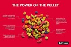 Zupreem Fruitblend With Natural Fruit Flavors Large Breed Bird Food  3 5 Lb