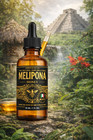 Jimerito Honey  Miel Melipona Gotas  20ml 100  Pure Original Honey From Mexico 