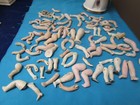 Large Lot Antique Bisque Doll Legs   Excavation Germany  Artist