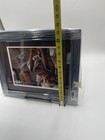 Star Wars  Warwick Davis    weazel     The Phantom Menace Signed 8 X 10 Photo Swau