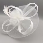 White Veil Feather Mesh Fascinator Veil Hat Clip Band Wedding Tea Cocktail Party