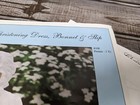 Chery Williams Heirloom Patterns Baby Lacy Daygown Christening Dress Bonnet Uc