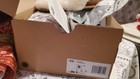 New Women s 100  Ugg Brand Chestnut Brown Scuffette Ii Slippers Shoes 1106872