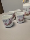 Japanese Tea Set Teapot   8 Cups  