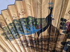 Huge Peacock Authentic Antique Asian Chinese Wall Decor Fan 62  X 34 5 
