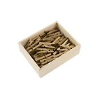 Jam Paper Wood Clip Clothespins Small 7 8 Inch Gold Clothes Pins 230726889