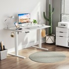 Adjustable Electric Standing Desk - 40 48 55 63 X 24 Inch  Sit To Stand Up Desk
