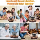 Incubators For Hatching Eggs 12 Egg Automatic Turner With Temperature Humidity
