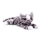 Ty Beanie Baby - Prance The Gray Tabby Cat  8 Inch  - Mwmts Stuffed Animal Toy
