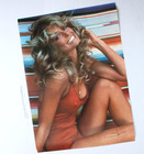 Beautiful 1976 Original Farrah Fawcett Poster Vintage Charlie s Angels Rare