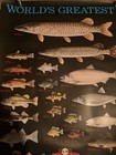 Vintage 1995 Schmidt Beer Poster Fish World Records Worlds Greatest 36 X 24 Inch