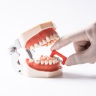 Dental Orthodontic Ipr Polishing Strips Interproximal Serrated Enamel Saws 10pcs