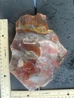 Large  Colorful  Utah Agate Slab Natural Red Gray Chalcedony Jasper Lapidary