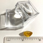 Baltic Amber Insect Inclusion And 4x Magnifying Case With Coa