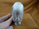Penguin-w13  Penguin   Chick Of Shed Antler Figurine Bali Detailed Carving Bird