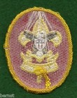 Vintage Boy Scout - First Class Patch - Plastic Back - Free Shipping
