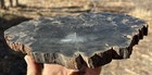       rr        Slabbed Woodworthia Petrified Wood  Rare Fire Evidence  2 75 Lb